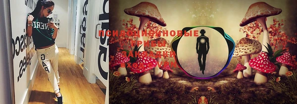 mdma Магадан