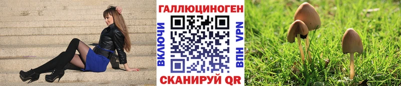 Галлюциногенные грибы GOLDEN TEACHER  Углич 