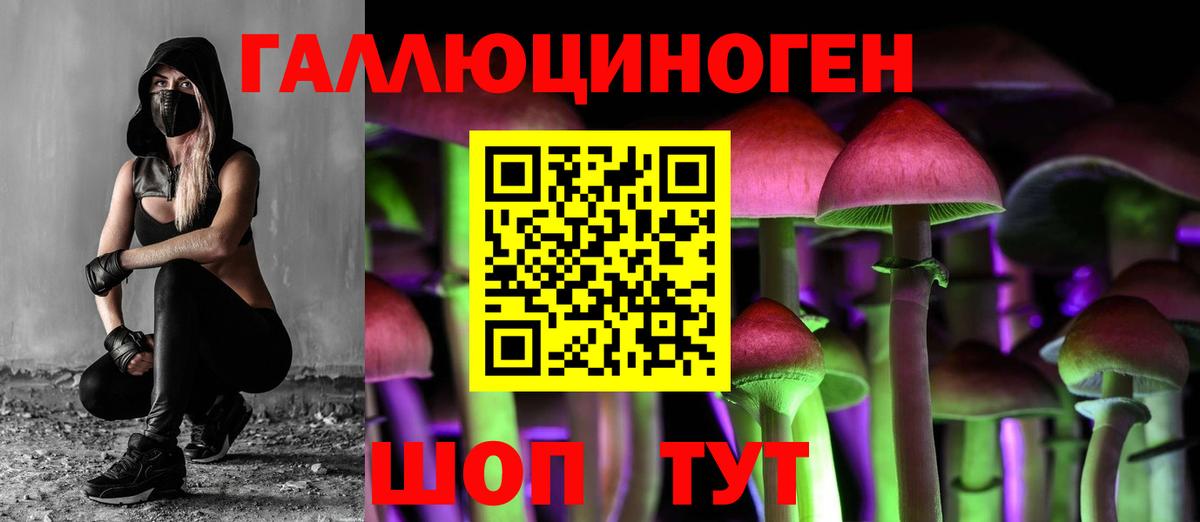 Галлюциногенные грибы мухоморы  Вход с VPN  Углич  Псилоцибиновые грибы мухоморы 
